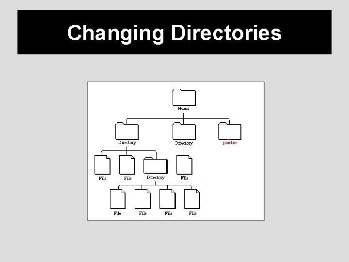 Changing Directories 