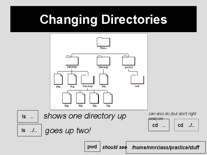 Changing Directories ls. . /. . shows one directory up goes up two! can