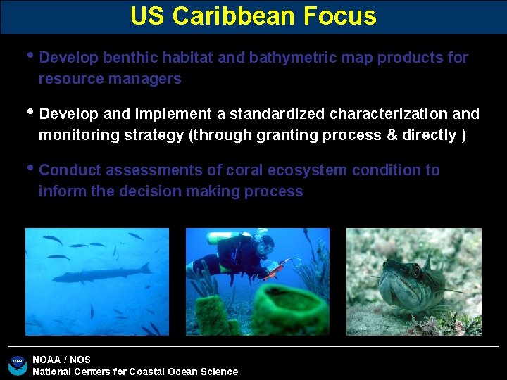 US Caribbean Focus • Develop benthic habitat and bathymetric map products for resource managers US Caribbean Focus • Develop benthic habitat and bathymetric map products for resource managers