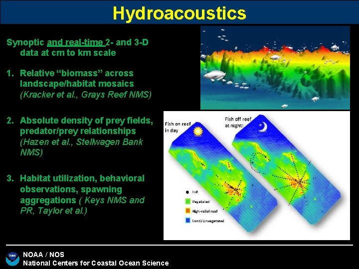 Hydroacoustics Synoptic and real-time 2 - and 3 -D data at cm to km Hydroacoustics Synoptic and real-time 2 - and 3 -D data at cm to km
