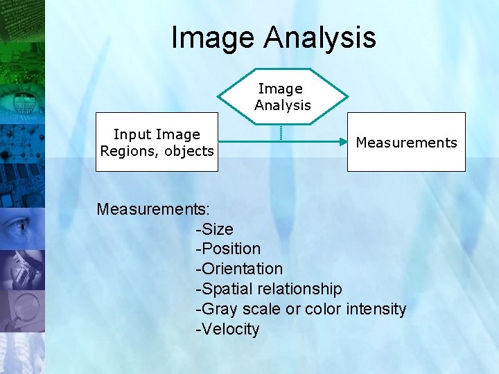 Image Analysis Input Image Regions, objects Measurements: -Size -Position -Orientation -Spatial relationship -Gray scale