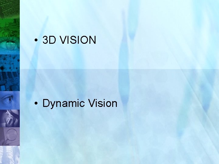  • 3 D VISION • Dynamic Vision 30 