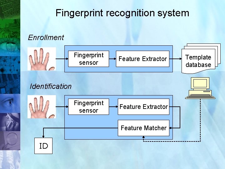 Fingerprint recognition system Enrollment Fingerprint sensor Feature Extractor Template database Identification Feature Matcher ID