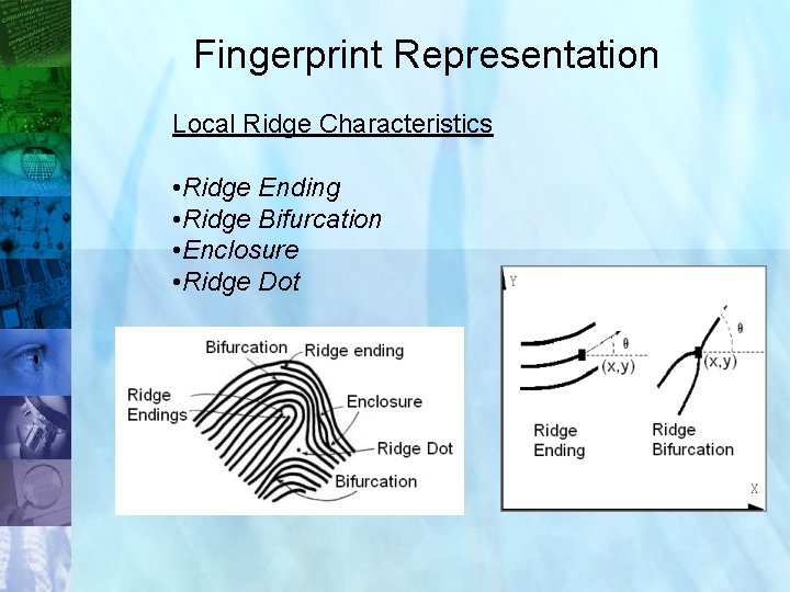 Fingerprint Representation Local Ridge Characteristics • Ridge Ending • Ridge Bifurcation • Enclosure •