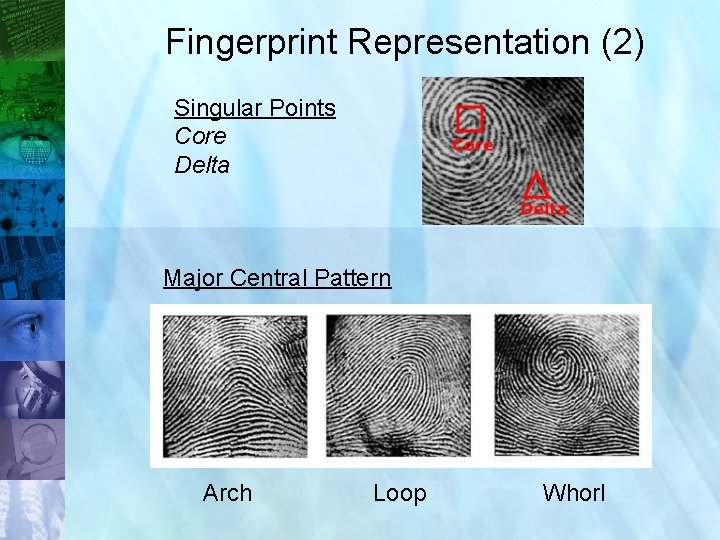 Fingerprint Representation (2) Singular Points Core Delta Major Central Pattern Arch Loop Whorl 35