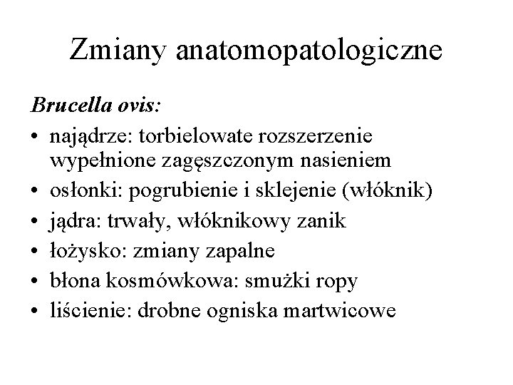 Zmiany anatomopatologiczne Brucella ovis: • najądrze: torbielowate rozszerzenie wypełnione zagęszczonym nasieniem • osłonki: pogrubienie