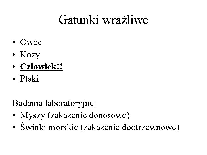 Gatunki wrażliwe • • Owce Kozy Człowiek!! Ptaki Badania laboratoryjne: • Myszy (zakażenie donosowe)