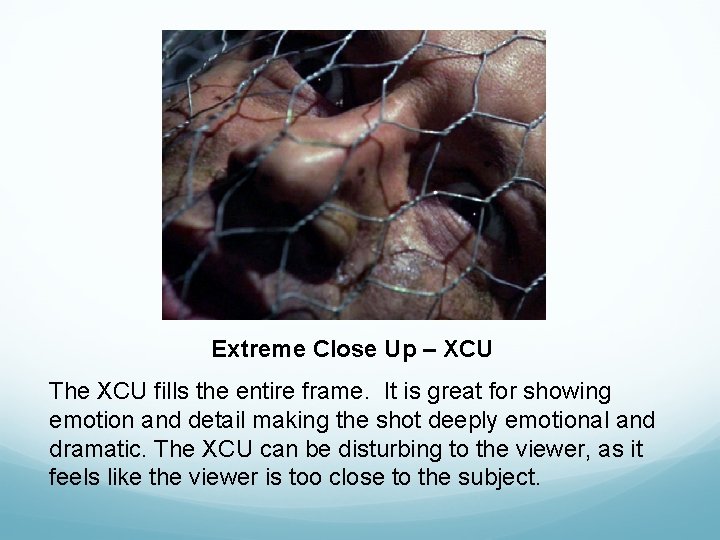 Extreme Close Up – XCU The XCU fills the entire frame. It is great Extreme Close Up – XCU The XCU fills the entire frame. It is great
