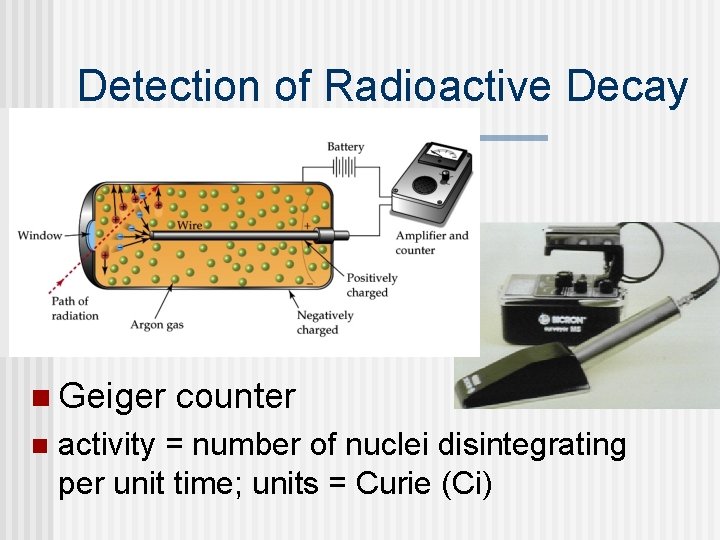 Detection of Radioactive Decay n Geiger n counter activity = number of nuclei disintegrating
