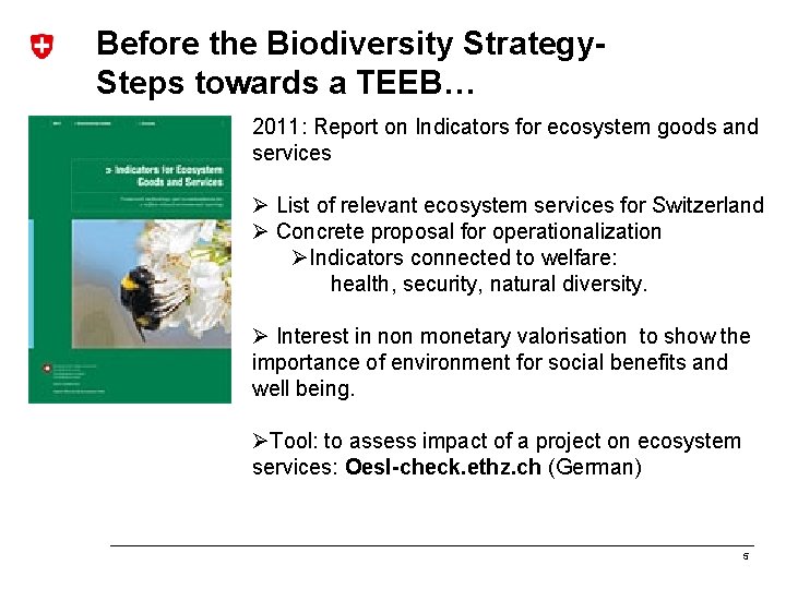 Before the Biodiversity Strategy. Steps towards a TEEB… 2011: Report on Indicators for ecosystem