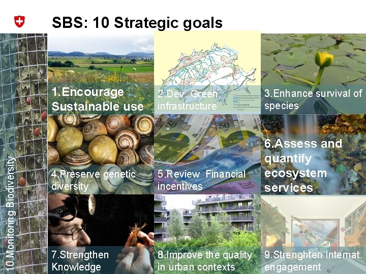 SBS: 10 Strategic goals 10. Monitoring Biodiversity 1. Encourage Sustainable use 2. Dev. Green