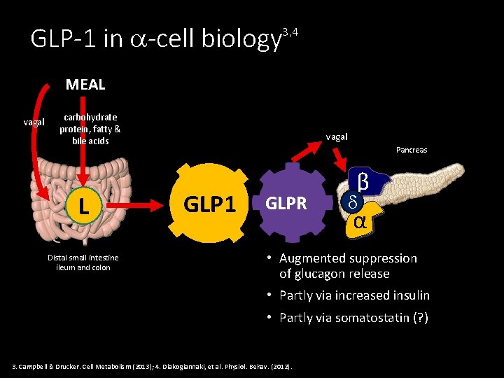 GLP-1 in -cell biology 3, 4 MEAL vagal carbohydrate protein, fatty & bile acids