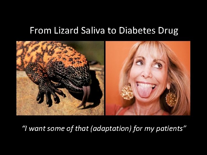 From Lizard Saliva to Diabetes Drug “I want some of that (adaptation) for my