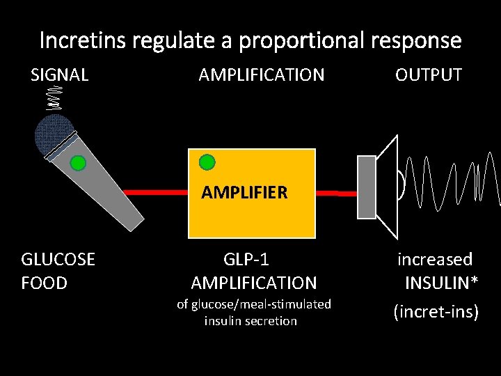 Incretins regulate a proportional response SIGNAL AMPLIFICATION OUTPUT AMPLIFIER GLUCOSE FOOD GLP-1 AMPLIFICATION of