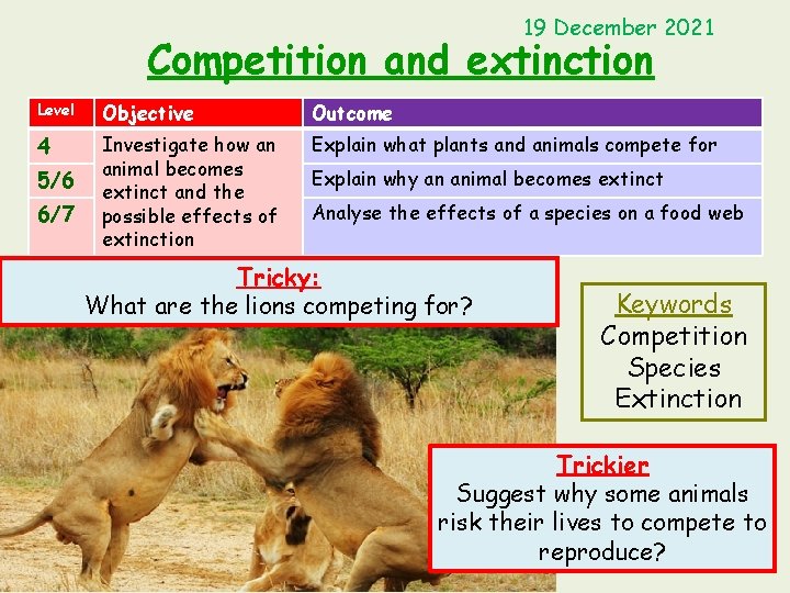 19 December 2021 Competition and extinction Level Objective Outcome 4 Investigate how an animal
