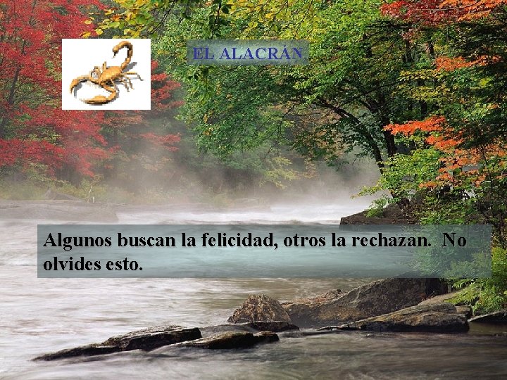 EL ALACRÁN Algunos buscan la felicidad, otros la rechazan. No olvides esto. 