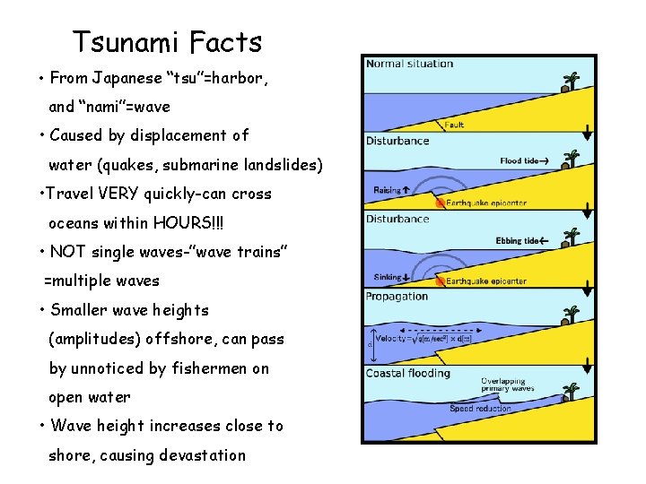 Tsunami Facts • From Japanese “tsu”=harbor, and “nami”=wave • Caused by displacement of water