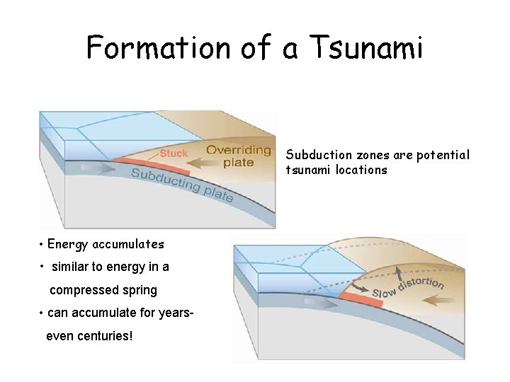 Formation of a Tsunami Subduction zones are potential tsunami locations • Energy accumulates •