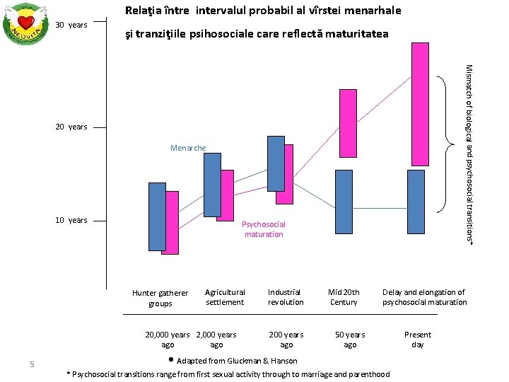 Relaţia între intervalul probabil al vîrstei menarhale 30 years şi tranziţiile psihosociale care reflectă