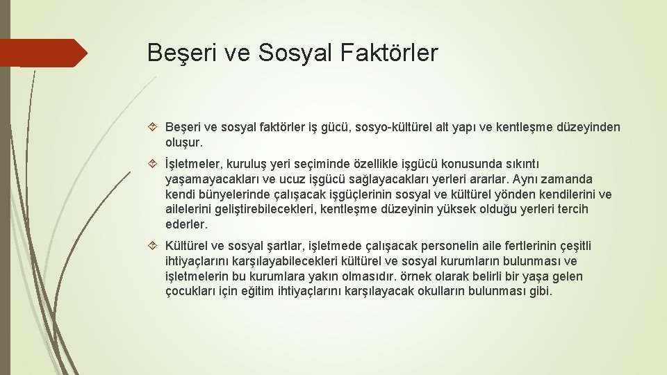 Beşeri ve Sosyal Faktörler Beşeri ve sosyal faktörler iş gücü, sosyo-kültürel alt yapı ve