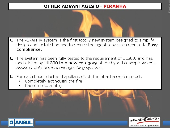 OTHER ADVANTAGES OF PIRANHA q The PIRANHA system is the first totally new system