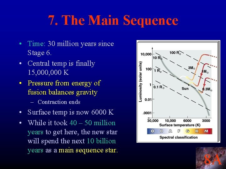 7. The Main Sequence • Time: 30 million years since Stage 6. • Central