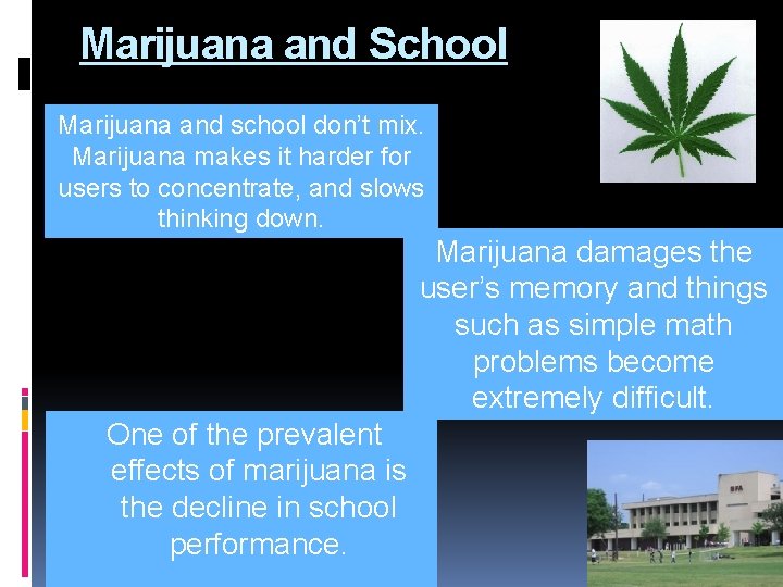Marijuana and School Marijuana and school don’t mix. Marijuana makes it harder for users