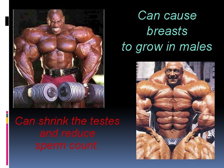 Can cause breasts to grow in males Can shrink the testes and reduce sperm