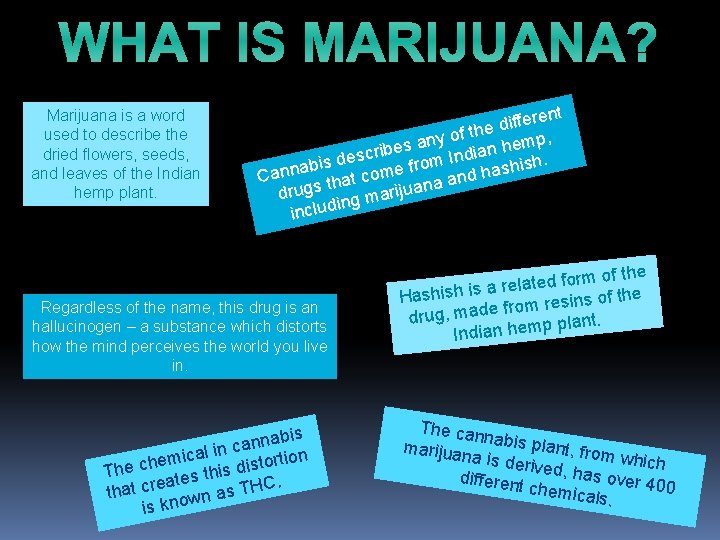WHAT IS MARIJUANA? Marijuana is a word used to describe the dried flowers, seeds,