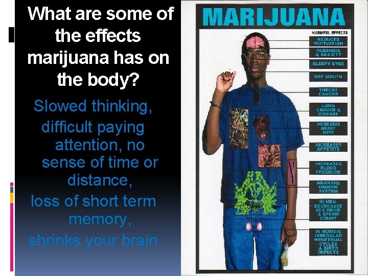 What are some of the effects marijuana has on the body? Slowed thinking, difficult