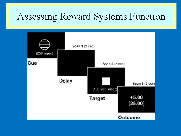 Assessing Reward Systems Function 