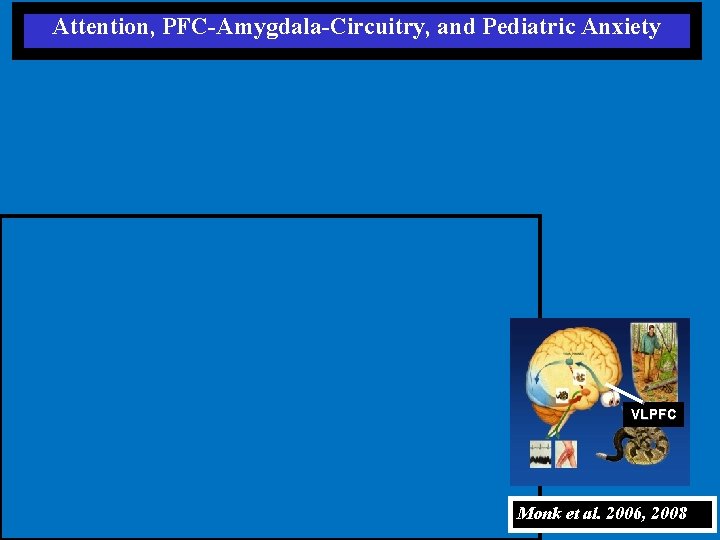 Attention, PFC-Amygdala-Circuitry, and Pediatric Anxiety VLPFC Monk et al. 2006, 2008 