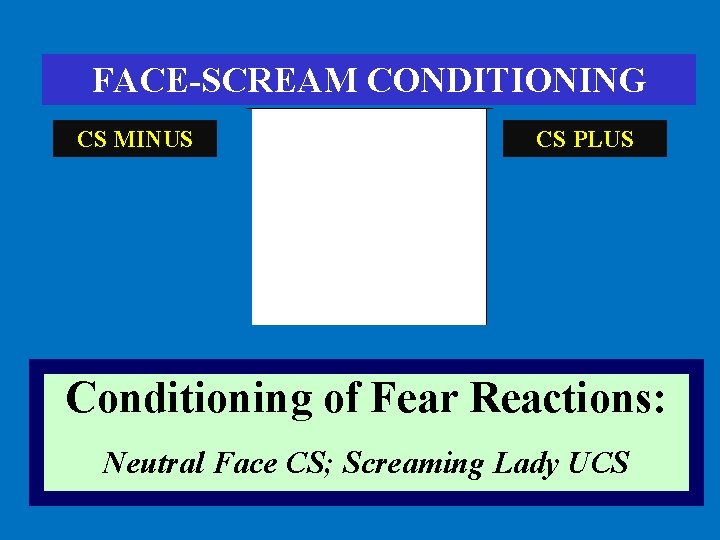 FACE-SCREAM CONDITIONING CS MINUS CS PLUS Conditioning of Fear Reactions: Neutral Face CS; Screaming