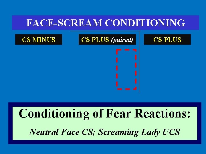 FACE-SCREAM CONDITIONING CS MINUS CS PLUS (paired) CS PLUS Conditioning of Fear Reactions: Neutral