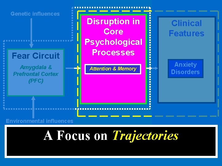 Genetic influences Fear Circuit Amygdala & Prefrontal Cortex (PFC) Disruption in Core Psychological Processes