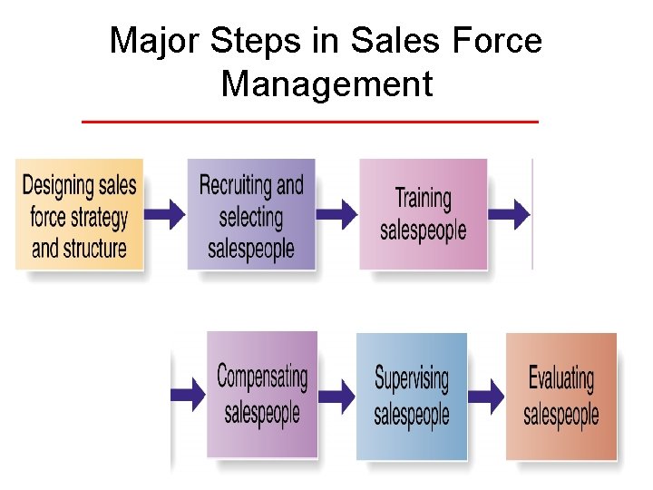 Major Steps in Sales Force Management 
