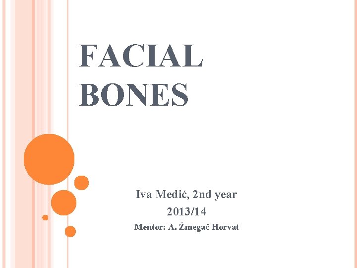 FACIAL BONES Iva Medić, 2 nd year 2013/14 Mentor: A. Žmegač Horvat 