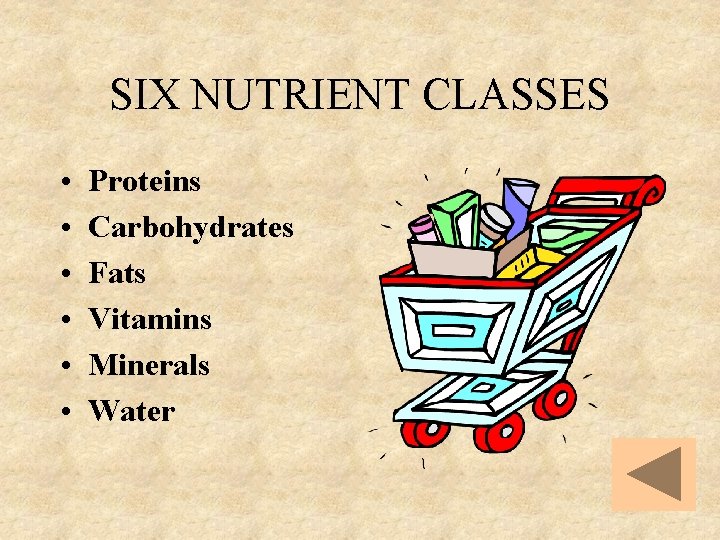 SIX NUTRIENT CLASSES • • • Proteins Carbohydrates Fats Vitamins Minerals Water 