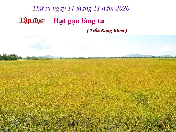 Thứ tư ngày 11 tháng 11 năm 2020 Tập đọc: Hạt gạo làng ta