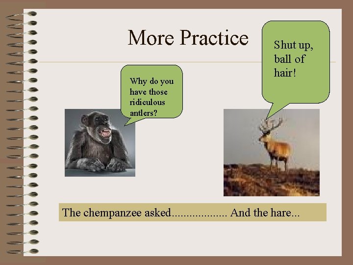 More Practice Why do you have those ridiculous antlers? Shut up, ball of hair!