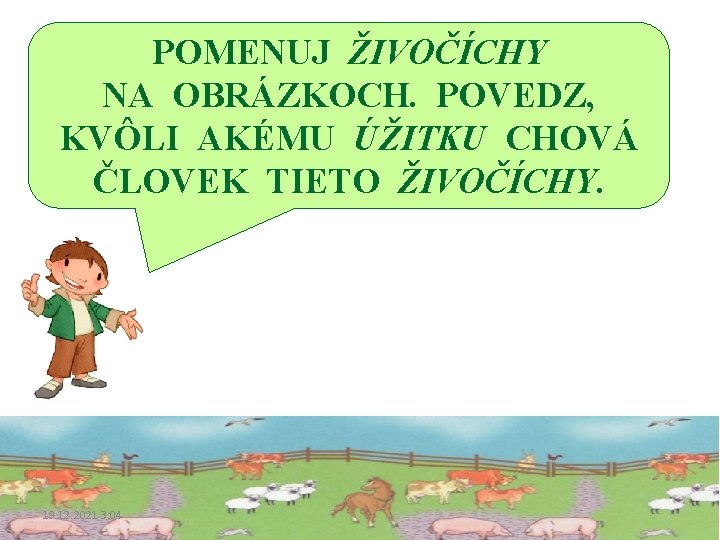 POMENUJ ŽIVOČÍCHY NA OBRÁZKOCH. POVEDZ, KVÔLI AKÉMU ÚŽITKU CHOVÁ ČLOVEK TIETO ŽIVOČÍCHY. 19. 12.
