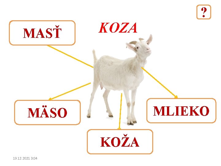 MASŤ KOZA MLIEKO MÄSO KOŽA 19. 12. 2021 3: 04 ? 