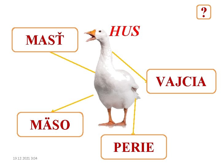 ? MASŤ HUS VAJCIA MÄSO PERIE 19. 12. 2021 3: 04 
