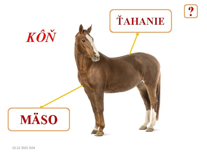 ŤAHANIE KÔŇ MÄSO 19. 12. 2021 3: 04 ? 