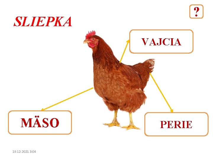 ? SLIEPKA VAJCIA MÄSO 19. 12. 2021 3: 04 PERIE 