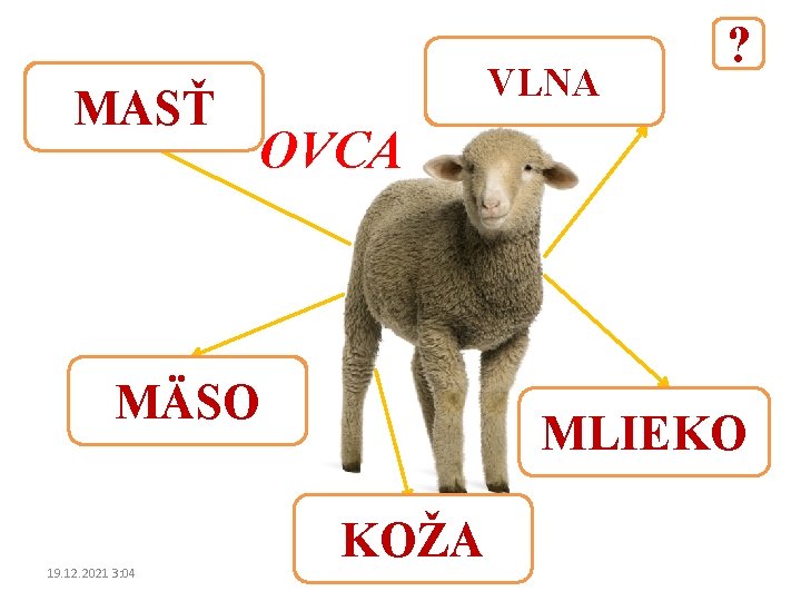 MASŤ VLNA OVCA MÄSO 19. 12. 2021 3: 04 ? MLIEKO KOŽA 