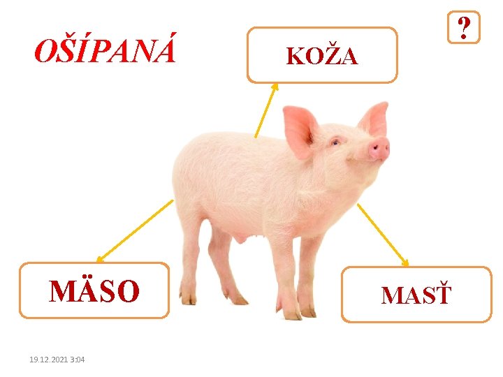 OŠÍPANÁ MÄSO 19. 12. 2021 3: 04 ? KOŽA MASŤ 