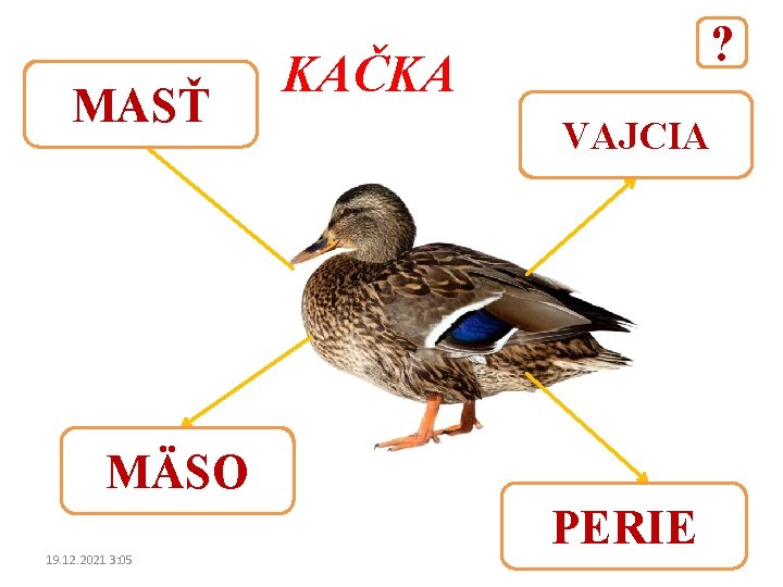 MASŤ ? KAČKA VAJCIA MÄSO 19. 12. 2021 3: 05 PERIE 