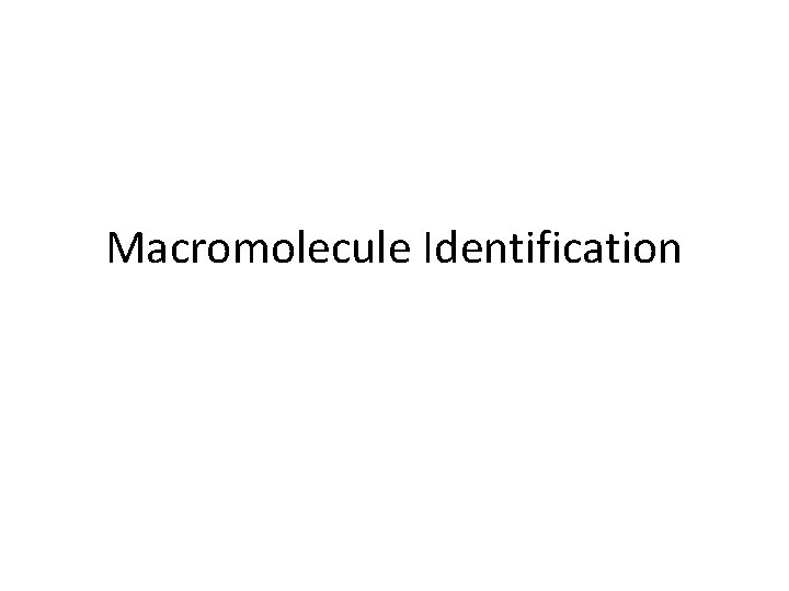 Macromolecule Identification 