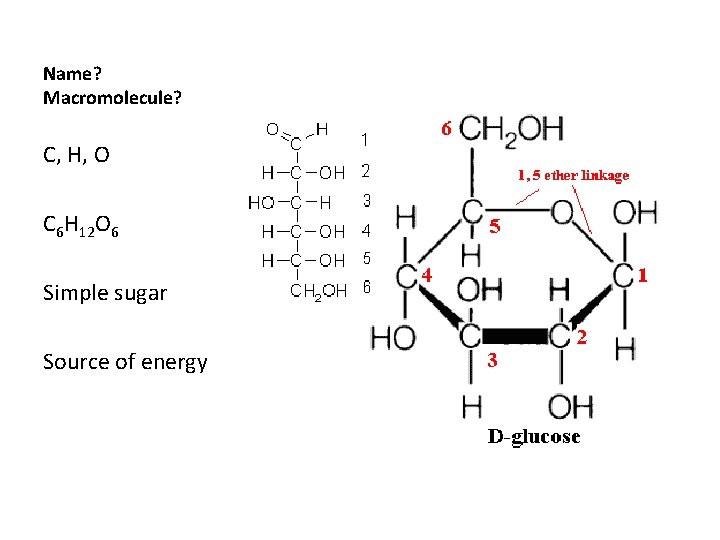 Name? Macromolecule? C, H, O C 6 H 12 O 6 Simple sugar Source